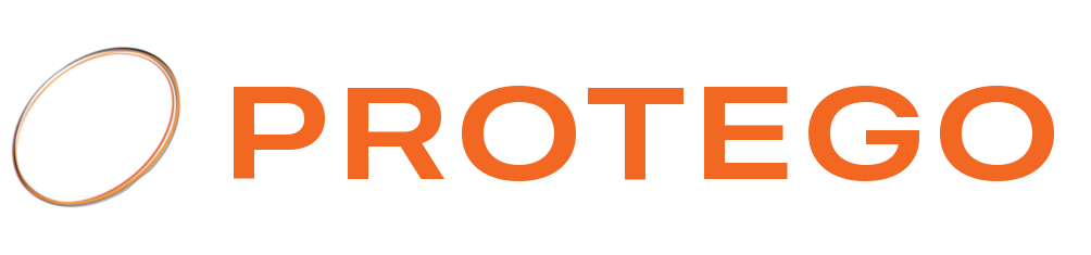 Protego Security